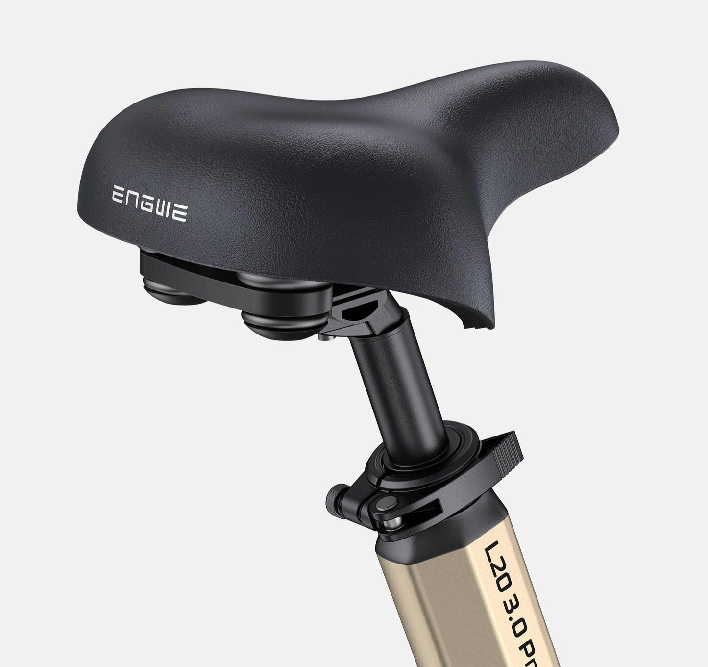 ENGWE L20 3.0 Pro Electric Bike