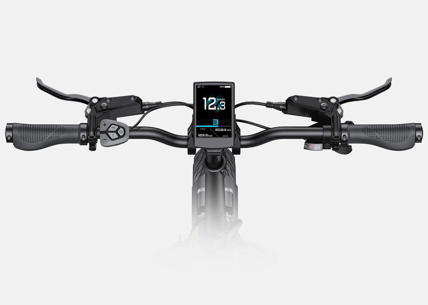 ENGWE L20 3.0 Pro Electric Bike