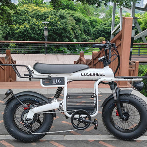 Coswheel T16 Electric Bike