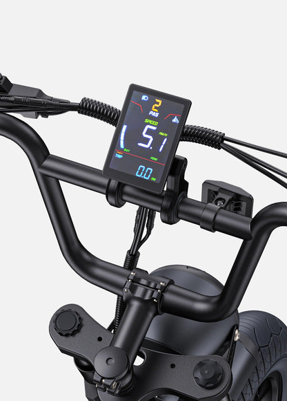 ENGWE M1 Electric Bike