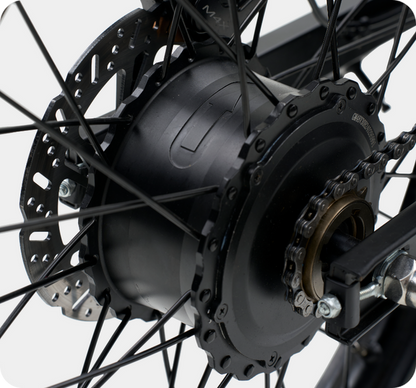 Riding Times GT73 Electric Bike