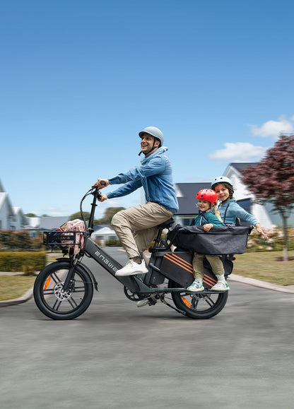 ENGWE LE20 Step-Thru Cargo Electric Bike