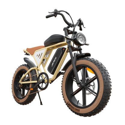 JANSNO X70 Off Road Electric Bike