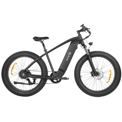 DYU King 750 Mountain Electric Bike