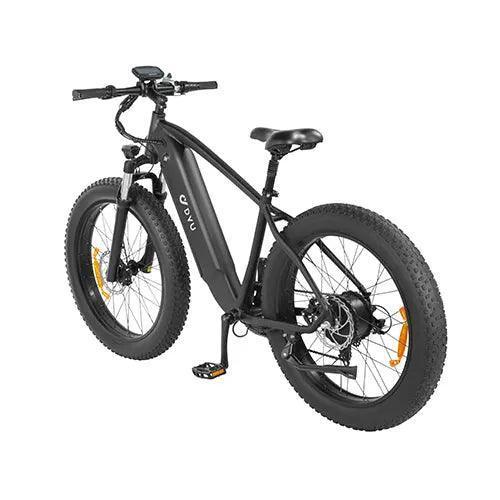 DYU King 750 Mountain Electric Bike