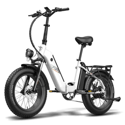 Fafrees FF20 Polar Electric Bike-Vostro Cycles