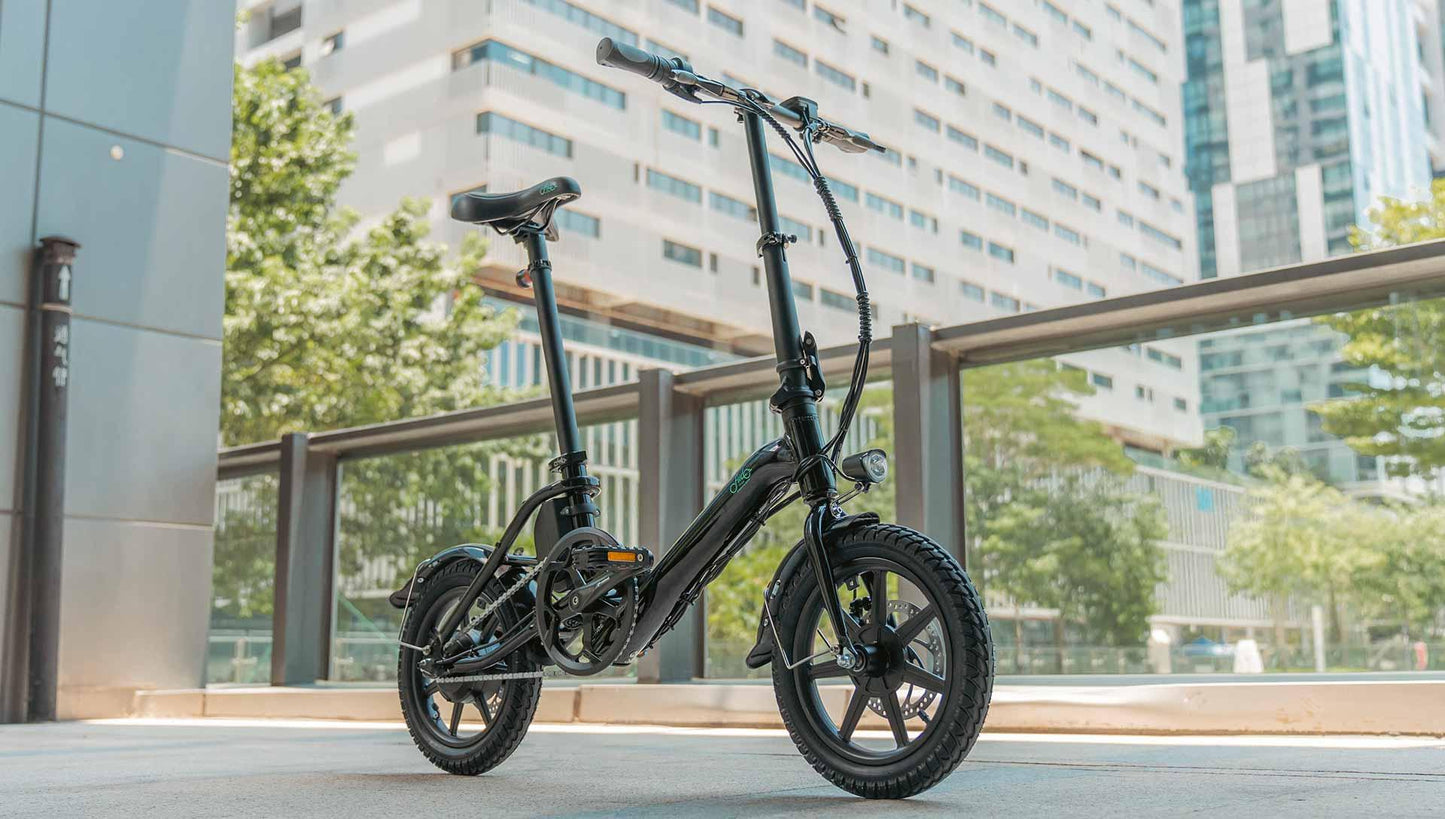 FIIDO D3 PRO Electric Bike with mudguard and light-Vostro Cycles