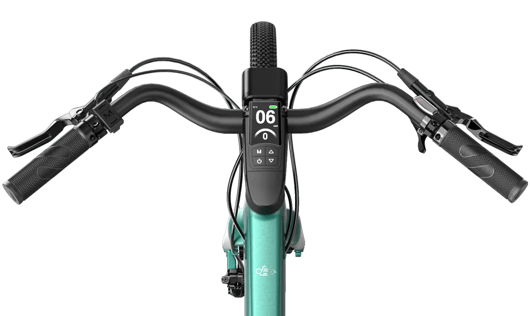 Fiido E-Gravel C21/C22 Electric Bike-Vostro Cycles