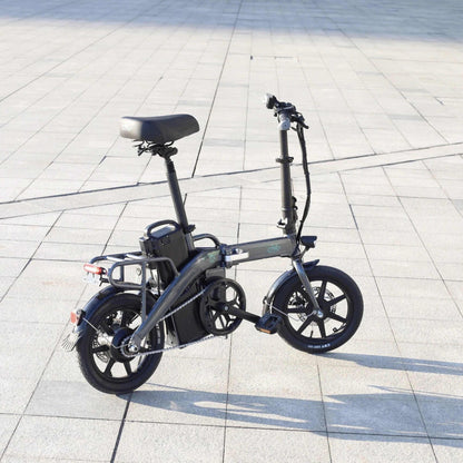 FIIDO L3 Electric Bike with mudguard and light-Vostro Cycles
