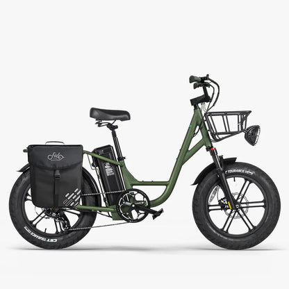 FIIDO T1 pro v2 upgraded Cargo Electric Bike-Vostro Cycles