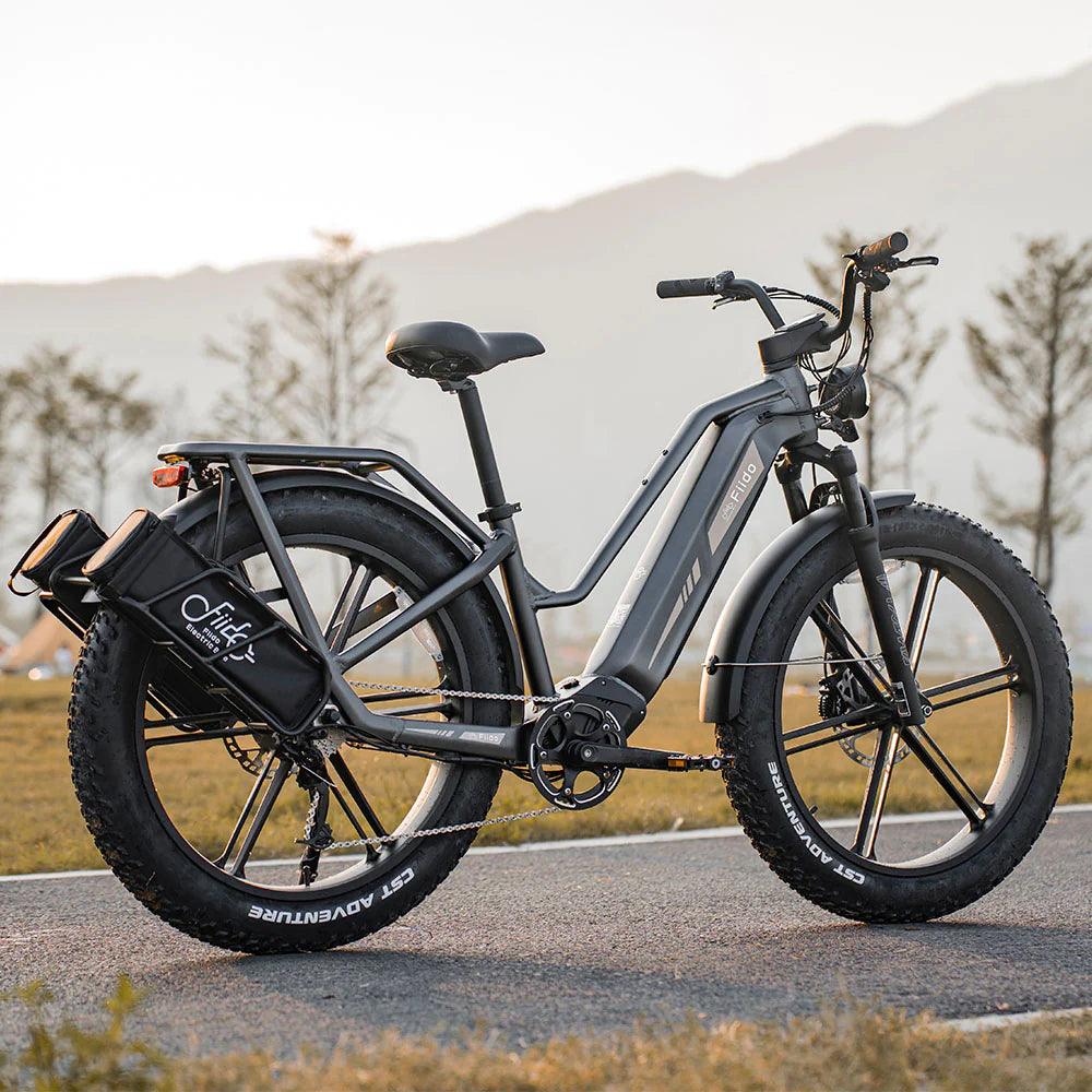 Fiido Titan Robust Cargo Electric Bike-Vostro Cycles