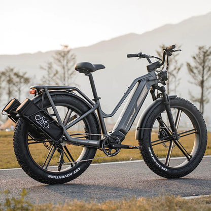 Fiido Titan Robust Cargo Electric Bike-Vostro Cycles