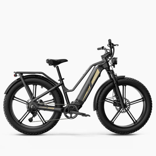 Fiido Titan Robust Cargo Electric Bike-Vostro Cycles