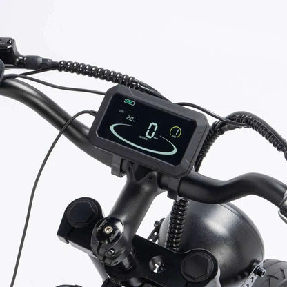 YVY C20 Max Electric Bike