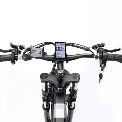 Ridstar H26 Pro Electric Bike-Vostro Cycles