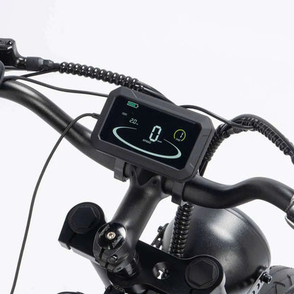 Ridstar Q20 Pro Electric Bike-Vostro Cycles